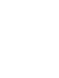 nopCommerce Experts