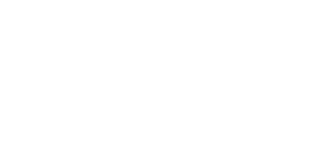 nopCommerce Experts